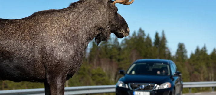 ����� �� ���� � 2019 ����