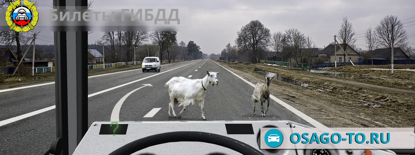 ����������� ������ 507 ��� 2019 (C,D)